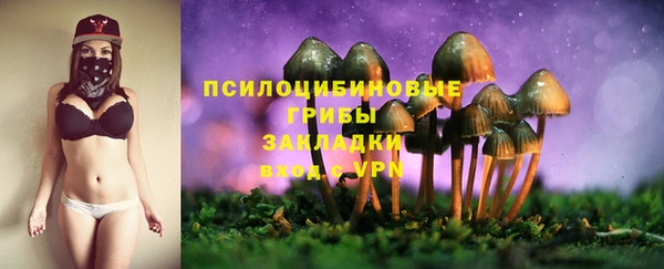 MDMA Premium VHQ Богородицк